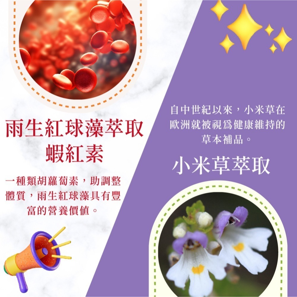 智利酒果金盞花萃取(含葉黃素)-細節圖6