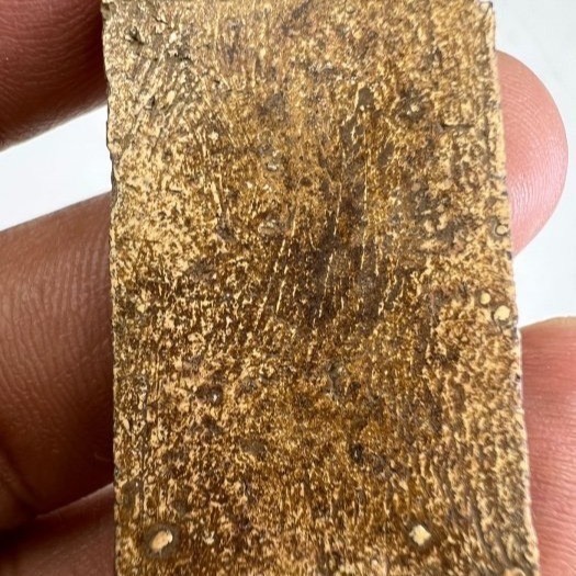 實力派傳奇名師 龍婆通 百年崇迪 與崇迪創始人阿贊多法脈相同 龍婆通 佛曆2430大耳崇迪老佛牌-細節圖5