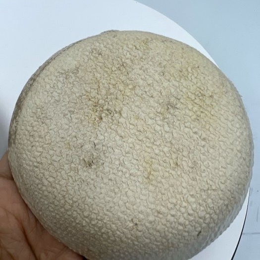 民國初年古早碗盤004手工古意正濃實物拍攝是個性商店戲劇拍電影導演大攝影家大收藏家不可或缺好物道具古董收藏1組2個免運費-細節圖4