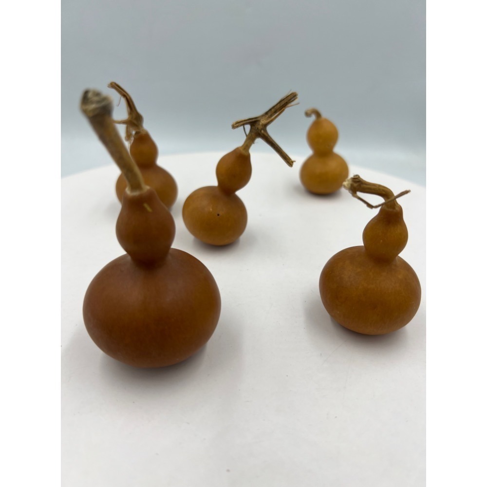 老大爺老貨5件小葫蘆一起賣 照片為實物-細節圖3