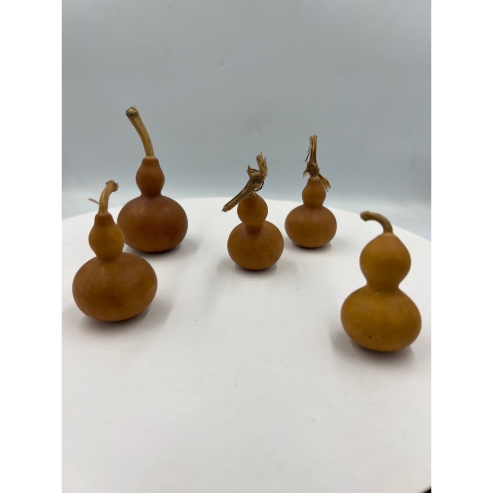 老大爺老貨5件小葫蘆一起賣 照片為實物-細節圖4