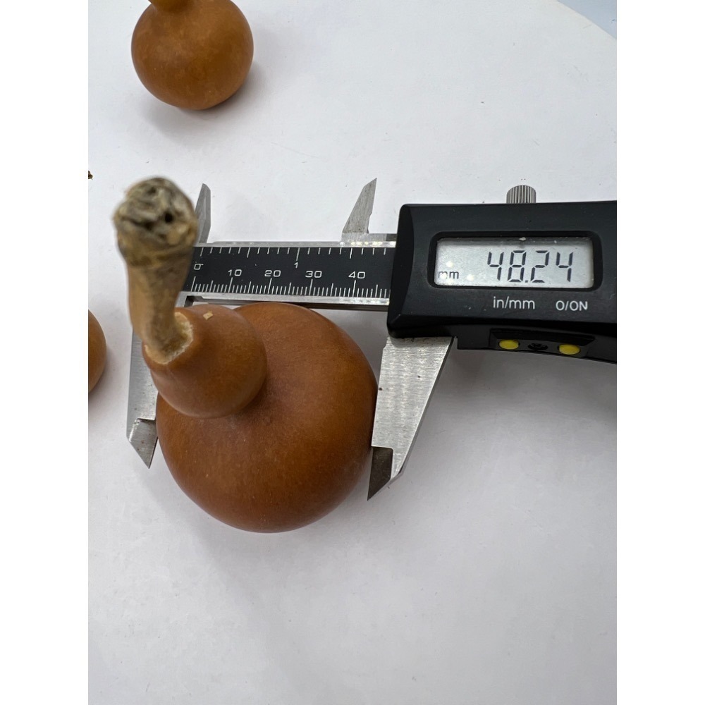 老大爺老貨5件小葫蘆一起賣 照片為實物-細節圖6