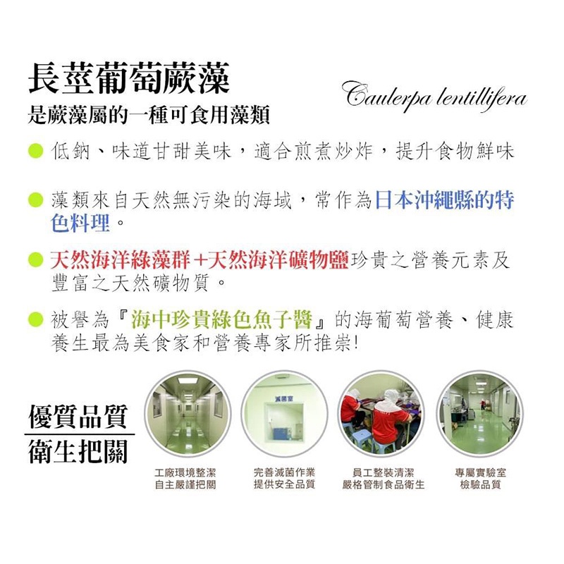 【文暄選物】現貨~快速出貨！台灣製天然35度C-DHA海葡萄藻鹽 鹽巴 藻鹽 鹽 調味料 純素-細節圖7