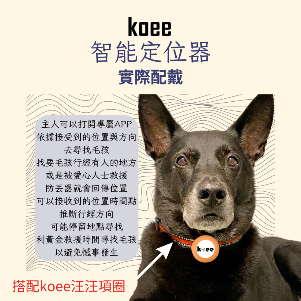 【koee】寵物項圈/koee智能防丟器/保護套適用-細節圖4