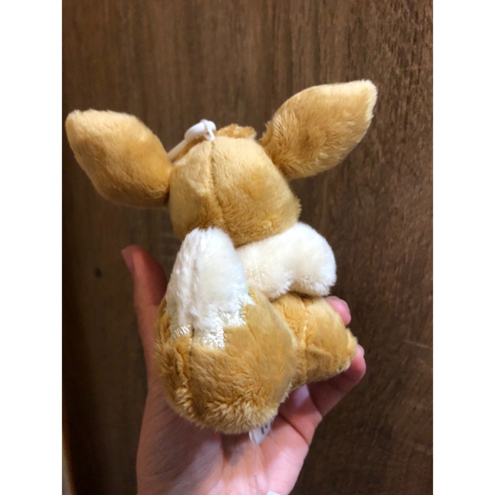 現貨 寶可夢中心Pokémon Center限定 伊布 水伊布 皮卡丘 附扣環吉祥物 掛飾 玩偶掛環 扣環掛繩 皮卡-細節圖9