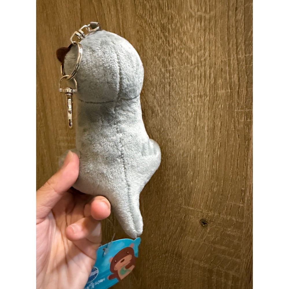 全新現貨 金門縣水產試驗所水獺娃娃 金門水產水獺 鑰匙圈 紀念品 金門台灣燈會 水獺 灰色款 小玩偶 吊飾 包包配件-細節圖2