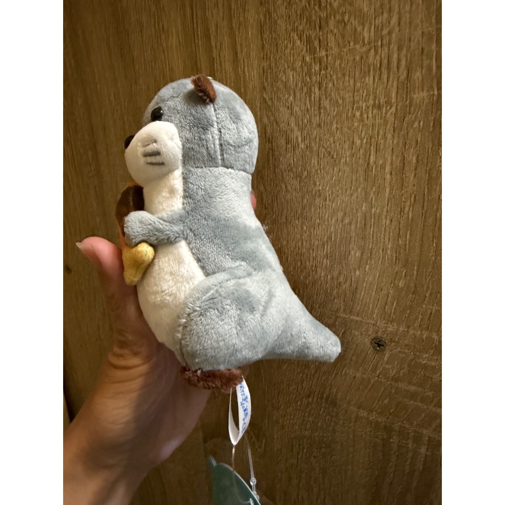 全新現貨 金門縣水產試驗所水獺娃娃 金門水產水獺 鑰匙圈 紀念品 金門台灣燈會 水獺 灰色款 小玩偶 吊飾 包包配件-細節圖3