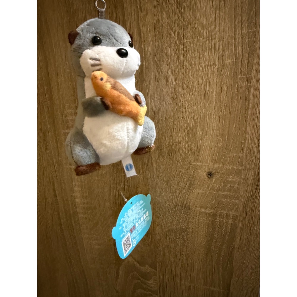 全新現貨 金門縣水產試驗所水獺娃娃 金門水產水獺 鑰匙圈 紀念品 金門台灣燈會 水獺 灰色款 小玩偶 吊飾 包包配件-細節圖5