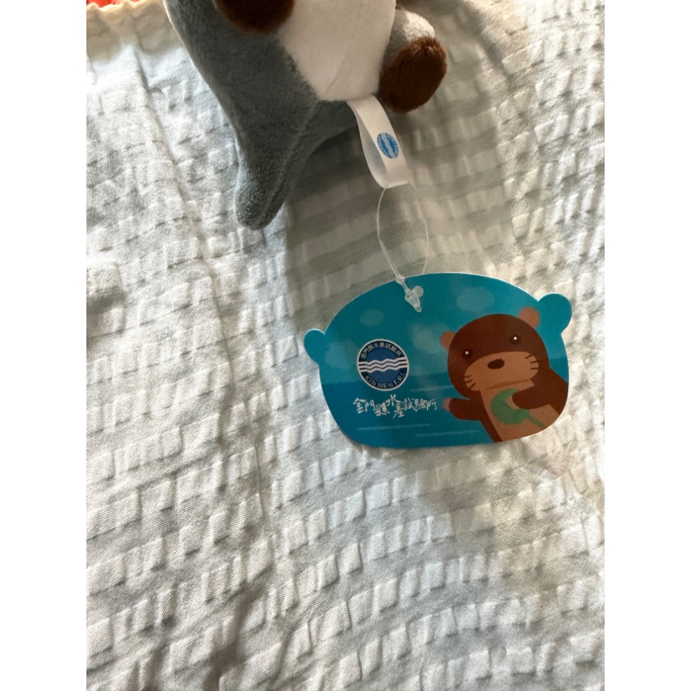 全新現貨 金門縣水產試驗所水獺娃娃 金門水產水獺 鑰匙圈 紀念品 金門台灣燈會 水獺 灰色款 小玩偶 吊飾 包包配件-細節圖7