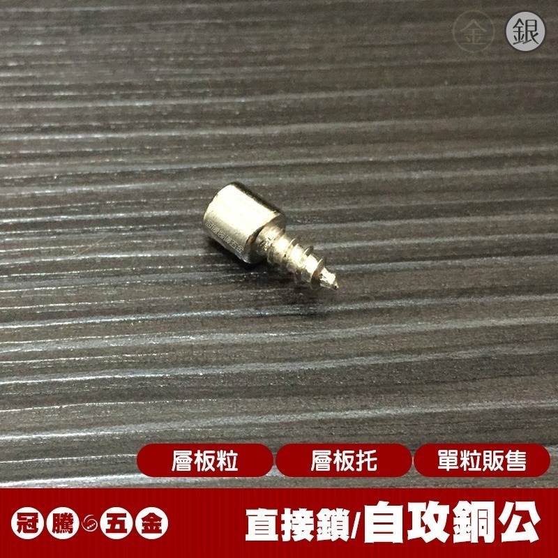 自攻銅公 (免挖孔/直接鎖)【10粒】隔板用 銅公 銅止 活隔粒 隔板粒 層板粒 層板托 公架止 銅珠 冠騰五金-細節圖4