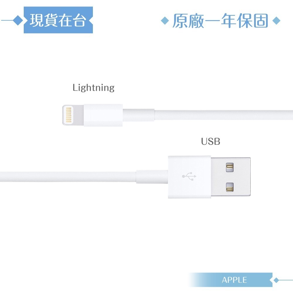 Apple 原廠公司貨A1480 / Lightning 對 USB 連接線-100cm (盒裝)-細節圖5
