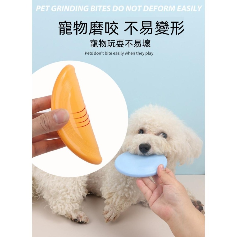 🐶台灣24H出貨🐶 寵物軟飛盤 狗玩具 寵物玩具 狗飛盤 飛盤 寵物互動 寵物飛盤 塑膠飛盤 狗狗玩具 舒壓 耐咬 互動-細節圖6