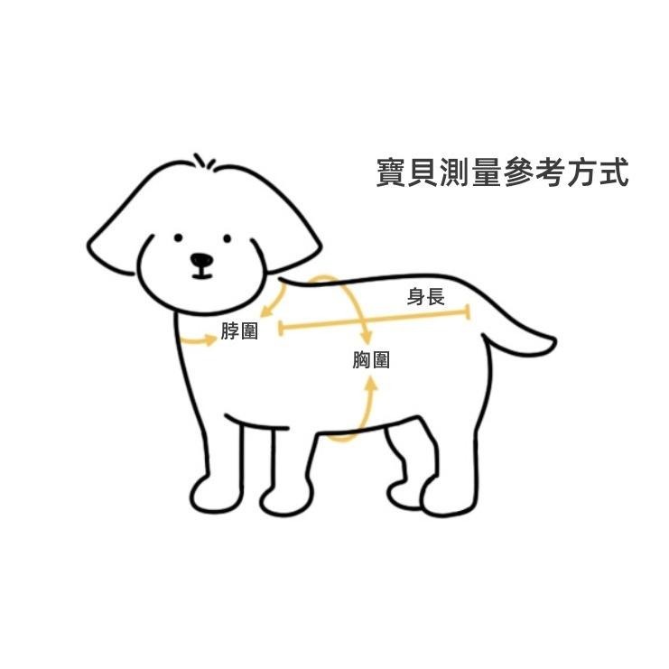 🐶台灣24H出貨🐶寵物外出包 外出便攜貓包 手提外帶狗包 寵物單肩背包 透氣 韓國寵物包 貓包 狗袋 狗包 貓咪外出包-細節圖4