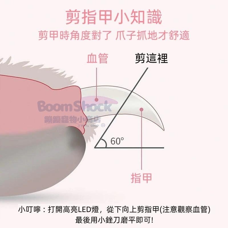 🐶台灣24H出貨 寵物LED指甲剪 免運天天出貨 寵物指甲剪 貓咪指甲剪 貓指甲剪 狗指甲剪 狗狗指甲剪 兔剪 磨刀-細節圖2