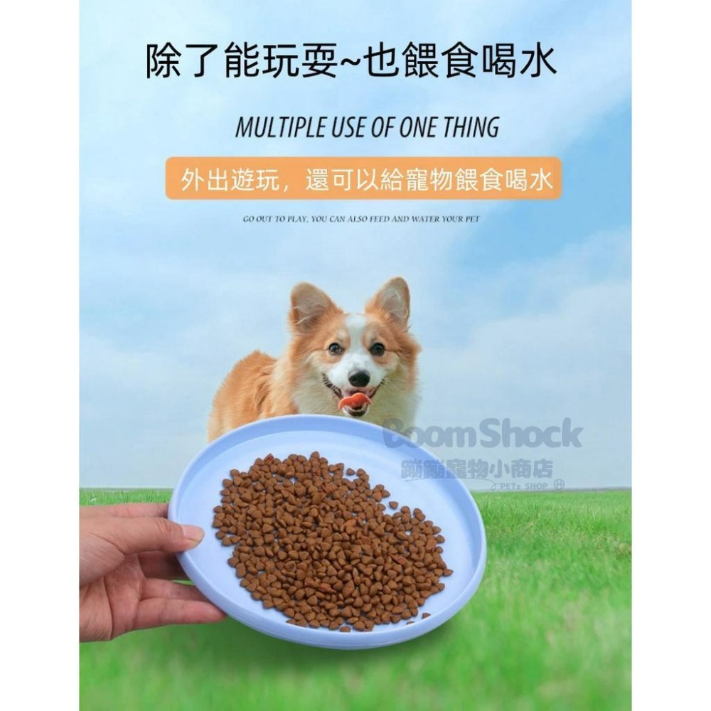 🐶台灣24H出貨 寵物軟飛盤 狗玩具 寵物玩具 狗飛盤 飛盤 寵物互動 寵物飛盤 塑膠飛盤 狗狗玩具 舒壓 耐咬 互動-細節圖5