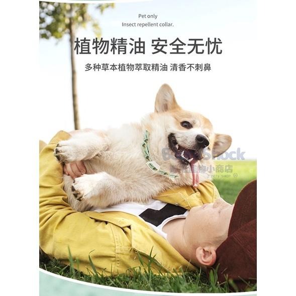 🐶台灣24H出貨 防蚤項圈 跳蚤項圈 跳蚤 貓防蚤項圈 驅蟲項圈 除蚤項圈 防跳蚤項圈 寵物驅蟲 狗項圈-細節圖5