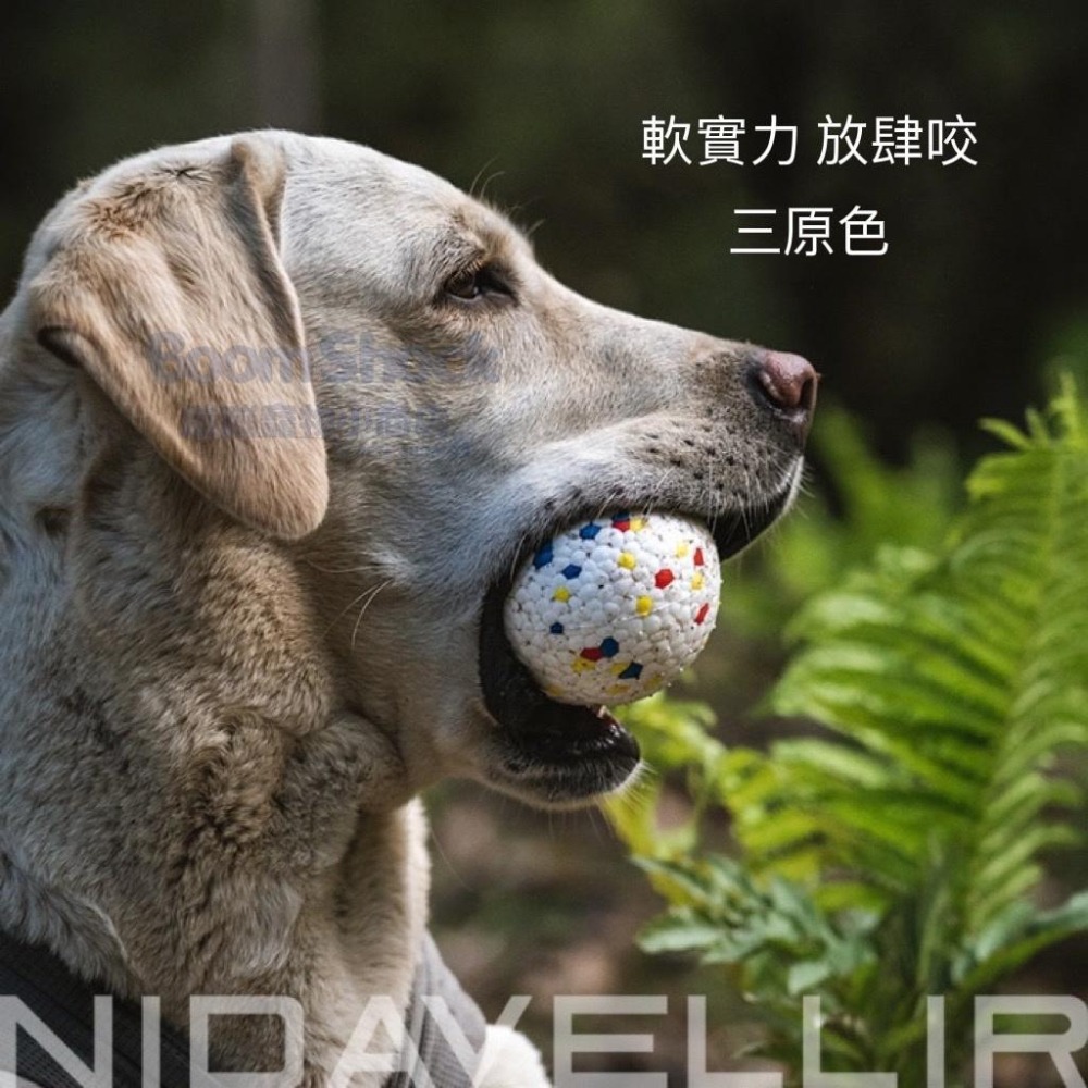 🐶台灣24H出貨NIDAVELLIR ETPU 寵物爆米花玩具球 耐咬 磨牙 寵物玩具 寵物球 狗玩具 啃咬球 無聲球-細節圖5