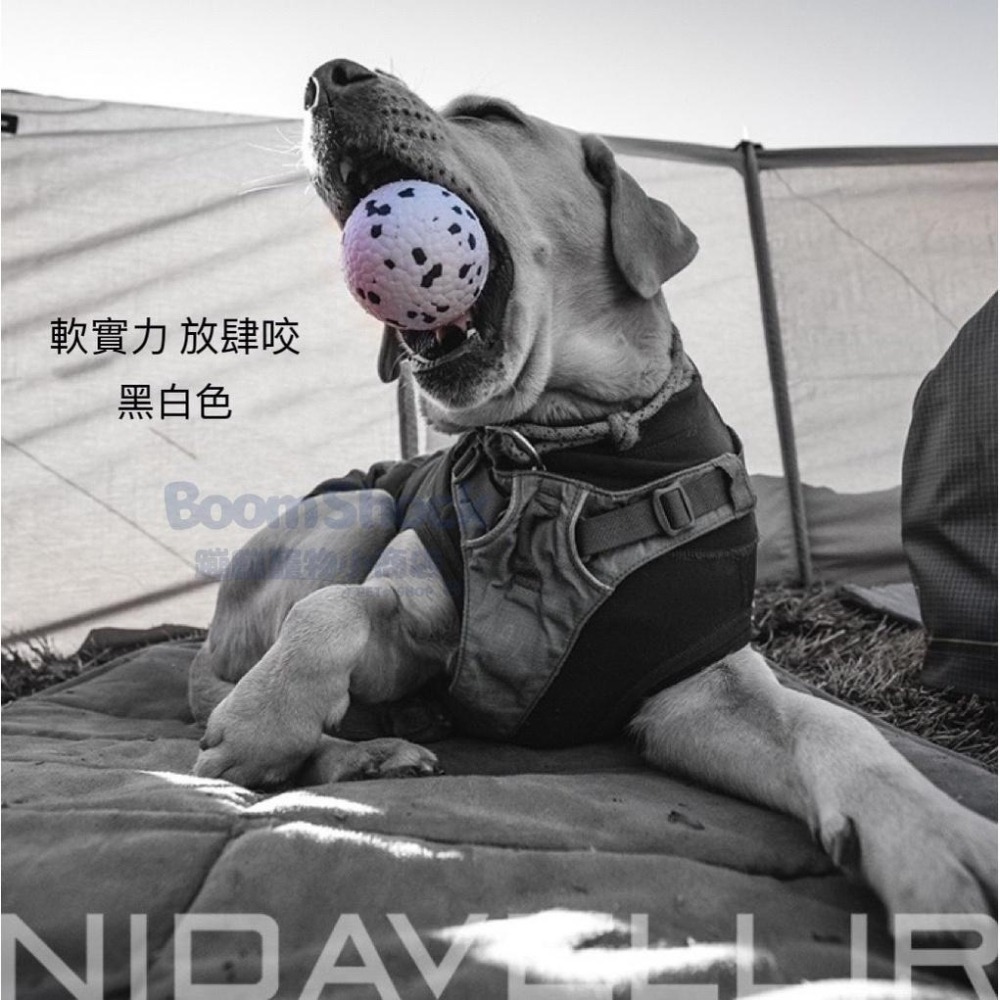🐶台灣24H出貨NIDAVELLIR ETPU 寵物爆米花玩具球 耐咬 磨牙 寵物玩具 寵物球 狗玩具 啃咬球 無聲球-細節圖7