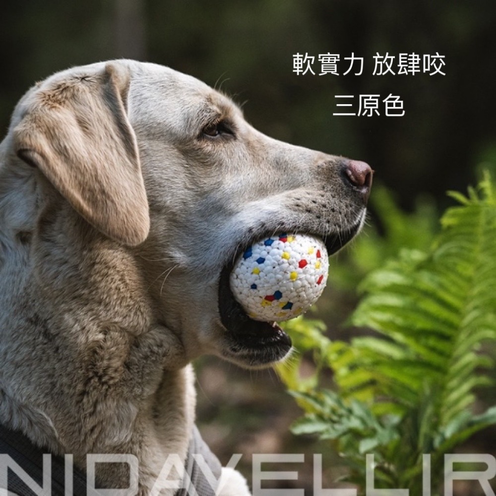 🐶台灣24H出貨NIDAVELLIR ETPU 寵物爆米花玩具球 耐咬 磨牙 寵物玩具 寵物球 狗玩具 啃咬球 無聲球-規格圖8