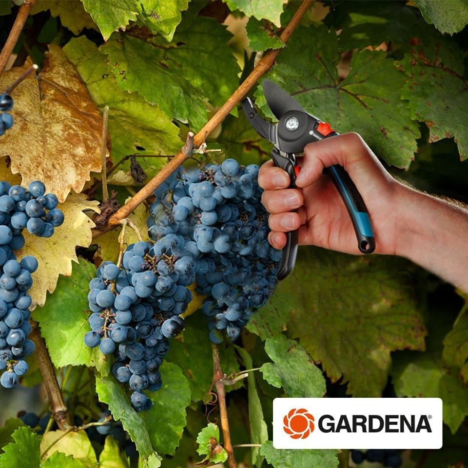 【GARDENA】  舒適型鐵砧修剪鋏23mm A/M1 8903  “園藝”“剪刀”-細節圖6
