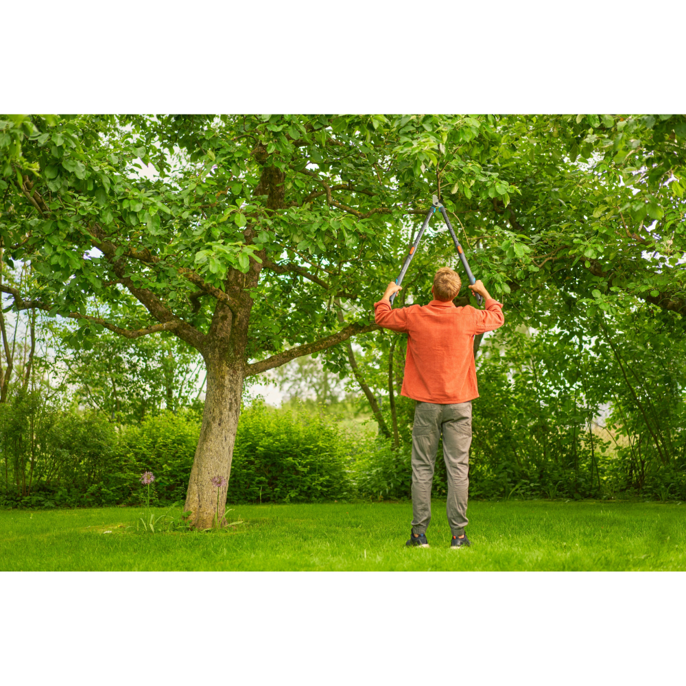 【GARDENA 景觀園藝】 交錯型粗枝伸縮剪650-900B 12041 “園藝”“剪刀”-細節圖7