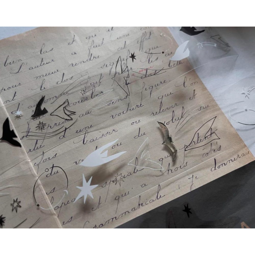 『PET膠帶分裝』 森酪梨 花見午茶/薄荷糖田野/薄暮的猫與花/鳥與星星-規格圖7