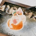 天使橘貓