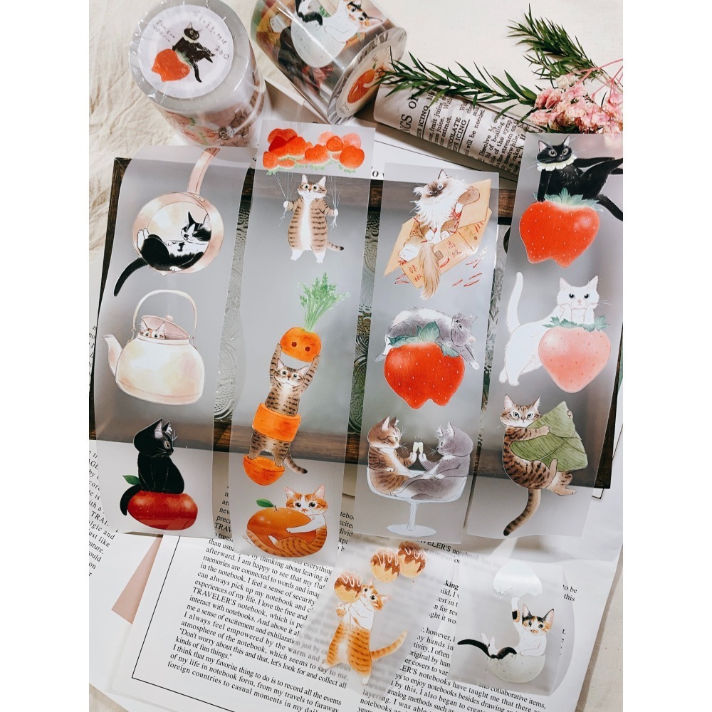 『膠帶分裝』補補貓大衛煮愛 全系列循環分裝下單區【立夏手帳生活】-細節圖2