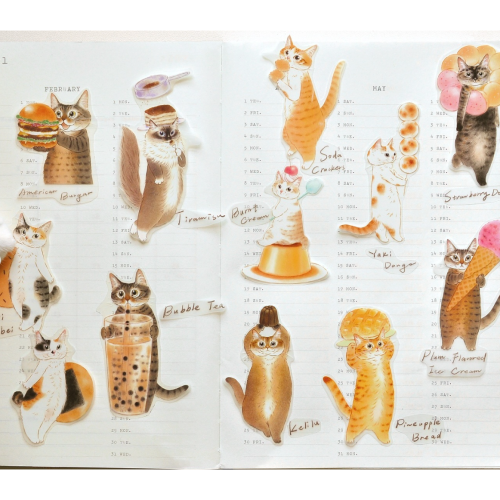 『膠帶分裝』補補貓大衛煮愛 全系列循環分裝下單區【立夏手帳生活】-細節圖9