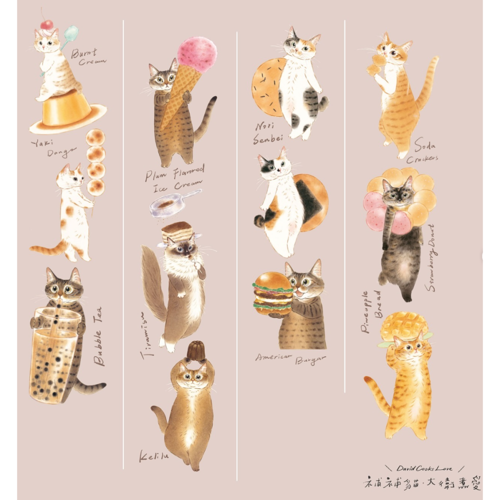 『膠帶分裝』補補貓大衛煮愛 全系列循環分裝下單區【立夏手帳生活】-細節圖10