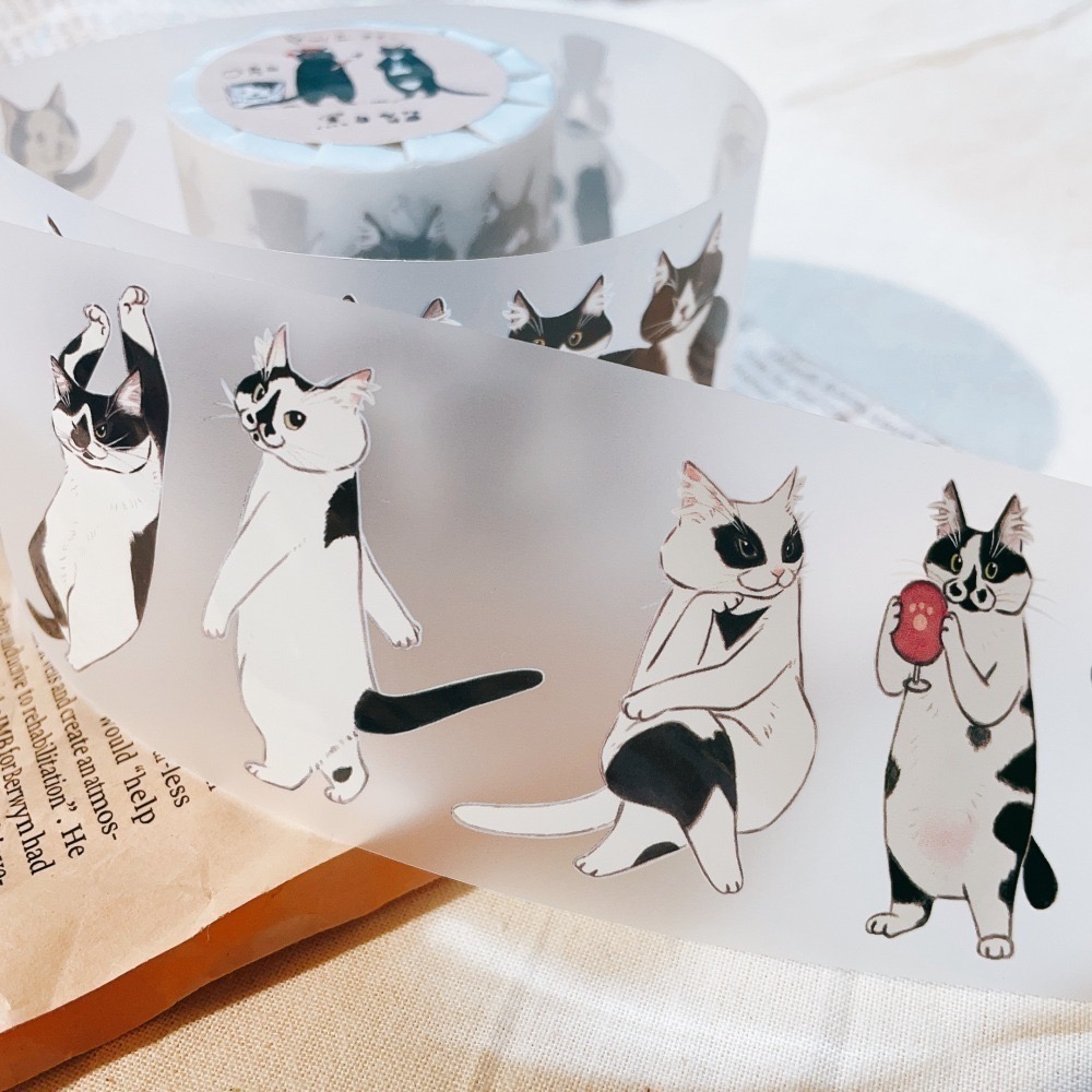 『膠帶分裝』補補貓大衛煮愛 全系列循環分裝下單區【立夏手帳生活】-細節圖3