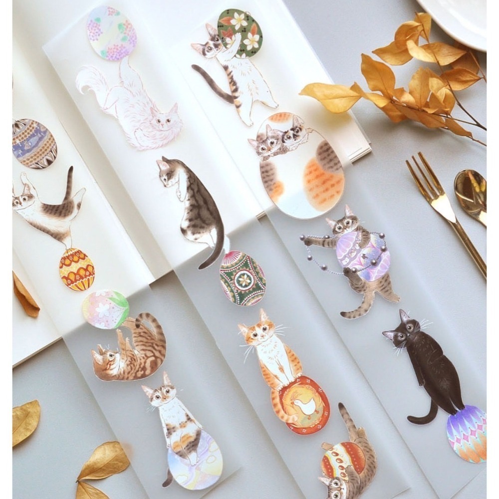 『膠帶分裝』補補貓大衛煮愛 全系列循環分裝下單區【立夏手帳生活】-細節圖9