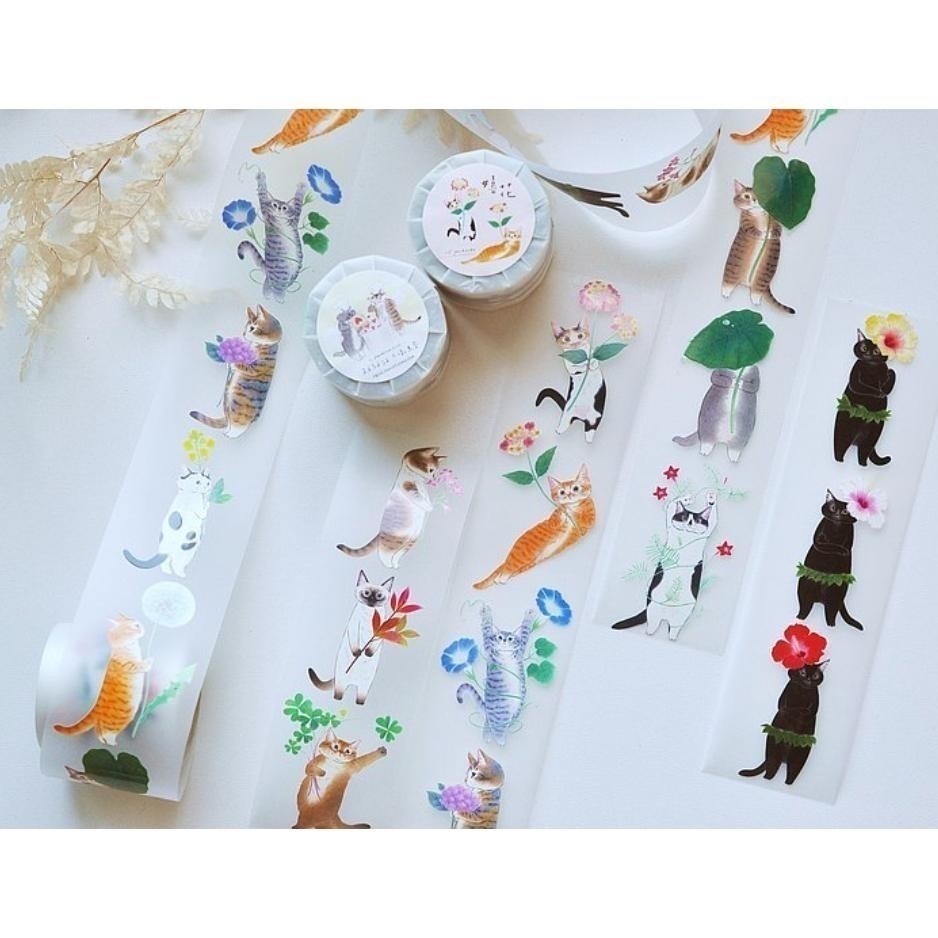 『膠帶分裝』補補貓大衛煮愛 全系列循環分裝下單區【立夏手帳生活】-細節圖2