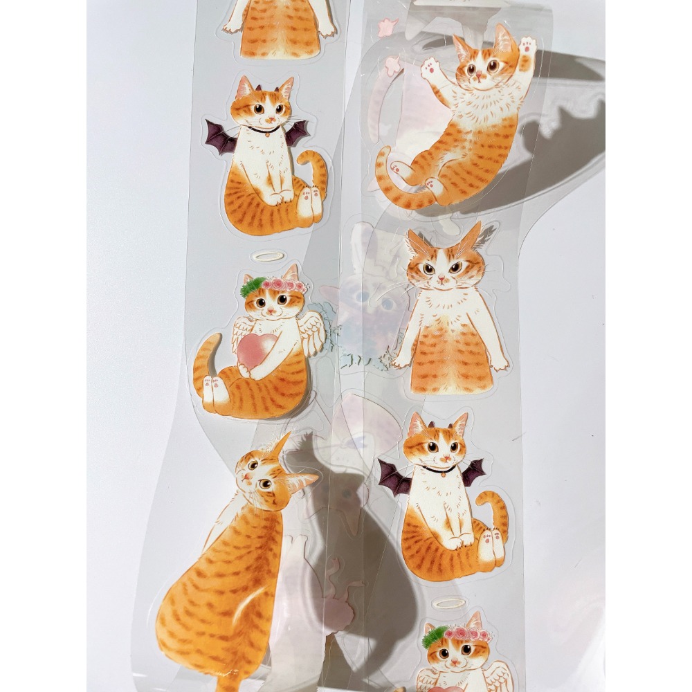 米亞小姐【6cm/亮P割型】