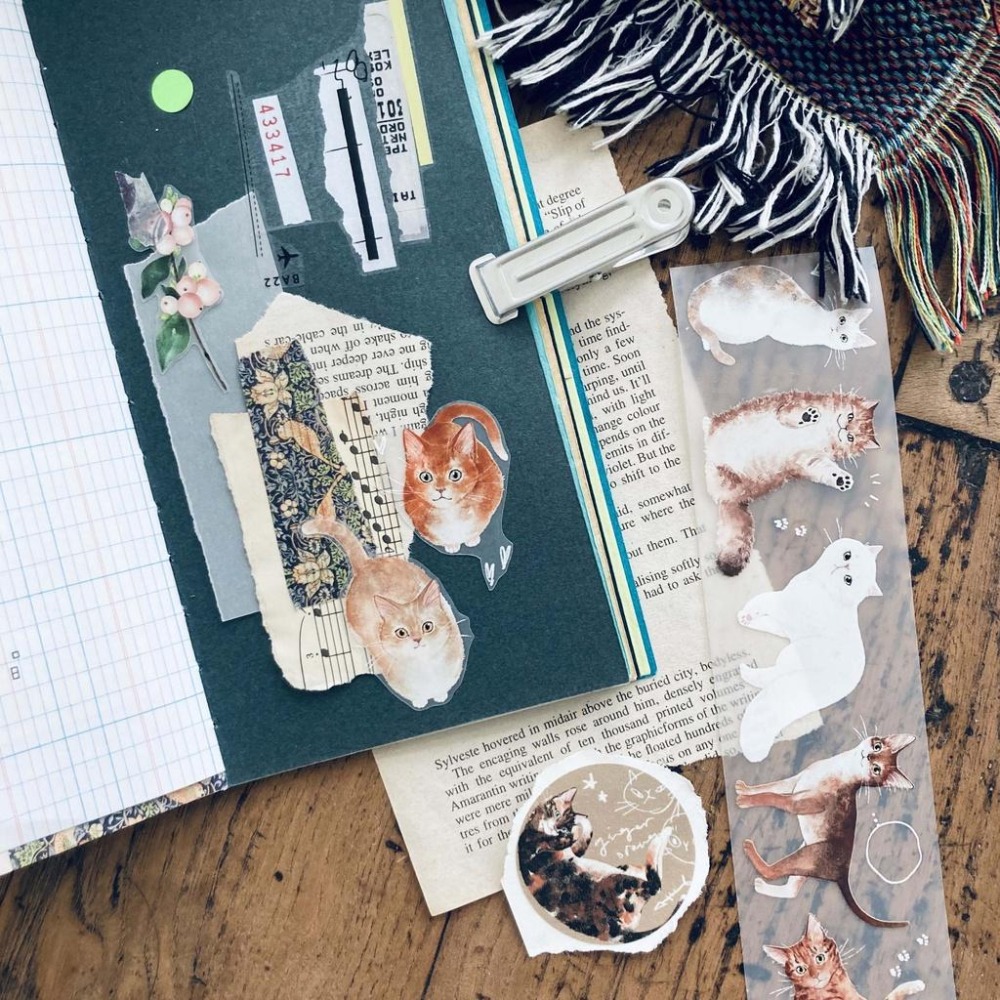 【亮面新版】羊君 薑黃 5cm 亮面PET膠帶【立夏手帳生活】-細節圖3