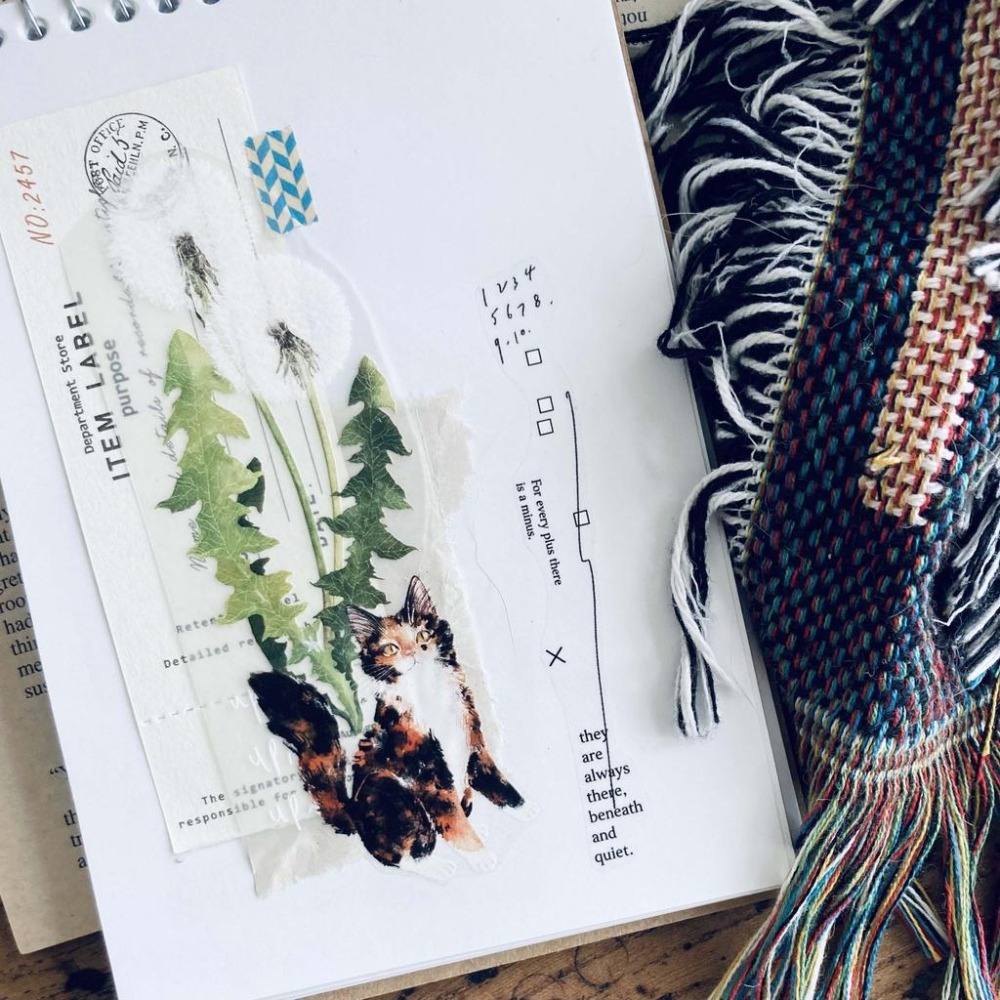 【亮面新版】羊君 薑黃 5cm 亮面PET膠帶【立夏手帳生活】-細節圖4