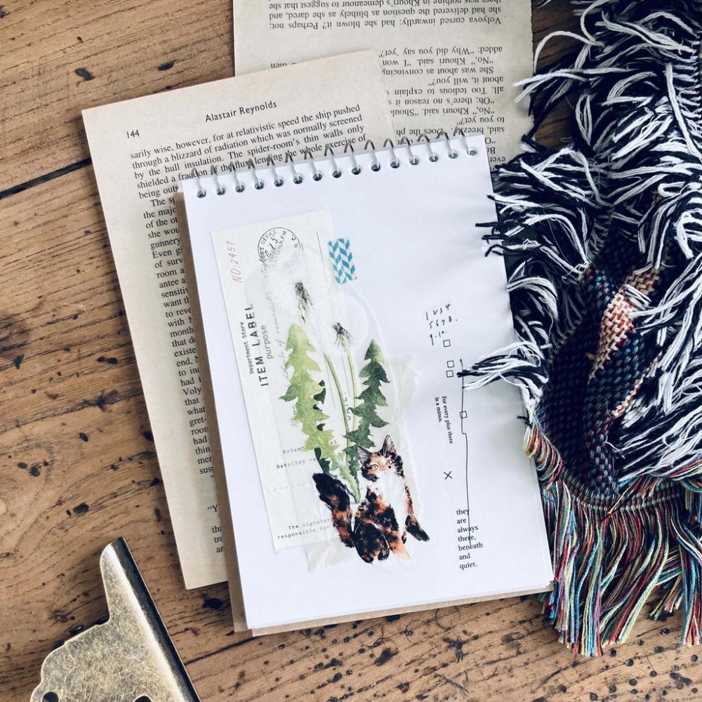 【亮面新版】羊君 薑黃 5cm 亮面PET膠帶【立夏手帳生活】-細節圖5