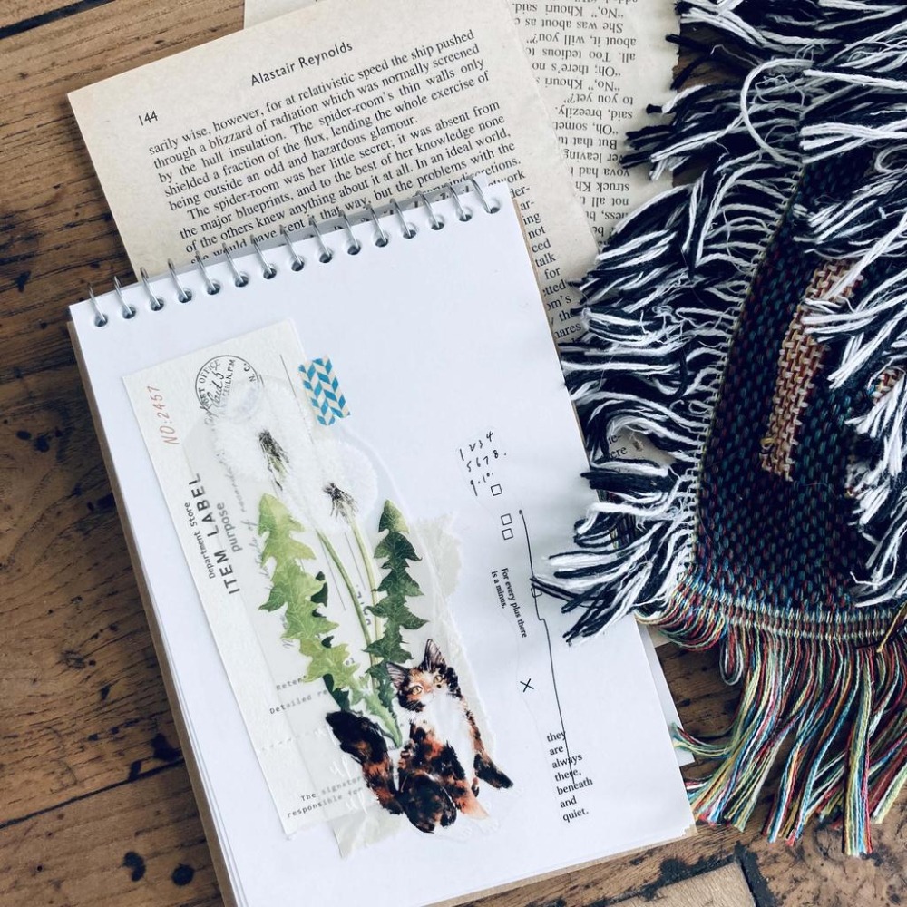 【亮面新版】羊君 薑黃 5cm 亮面PET膠帶【立夏手帳生活】-細節圖6