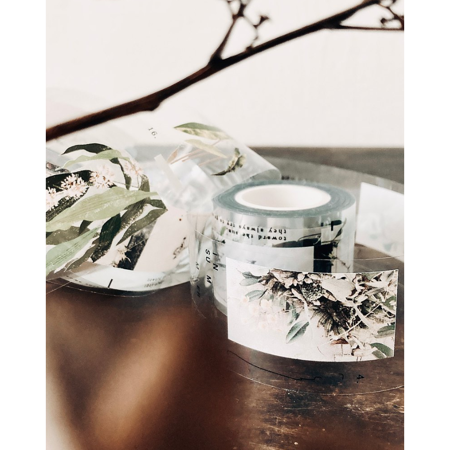 『透明/霧面PET膠帶分裝』羊君 小人物（新版）/節氣/Airplane mode./灰階/薑黃/fabric./繁葉-規格圖2