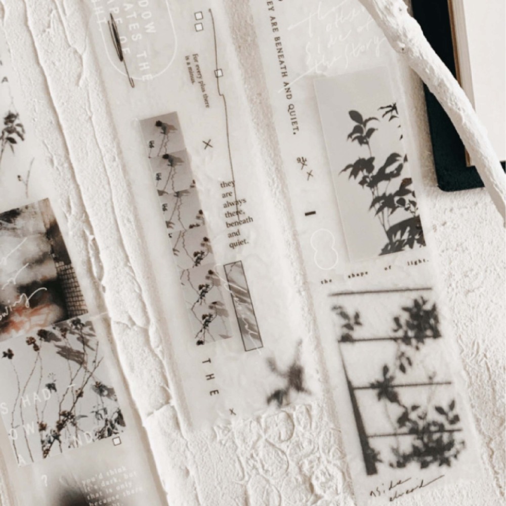 『霧面PET膠帶分裝』羊君 Pieces of./蒔果序/Travel around./蒲雪/掠影/忒緹絲/群青-規格圖3