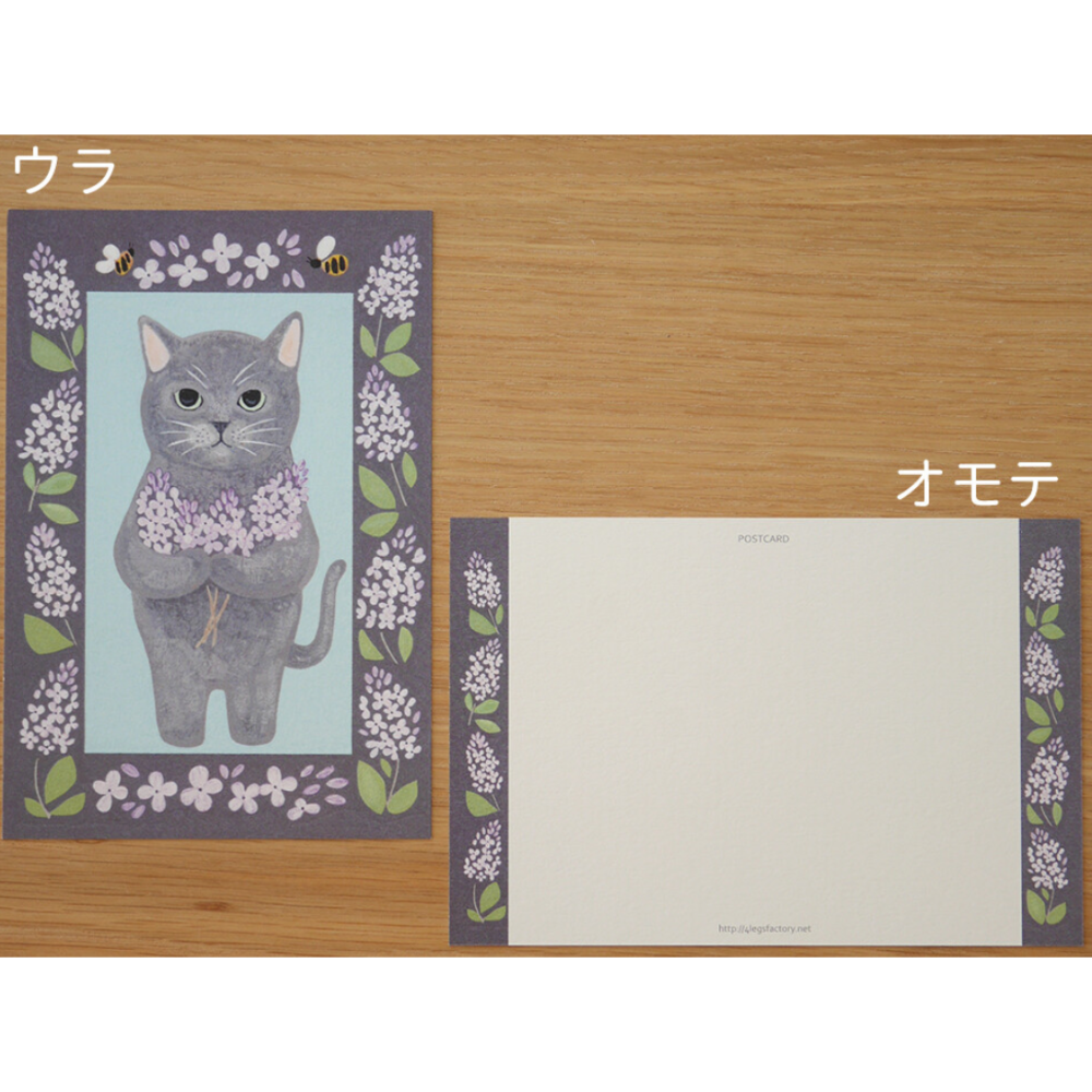 【經典26款】4legs 明信片 4 legs 貓咪 日本製【立夏手帳生活】-規格圖1