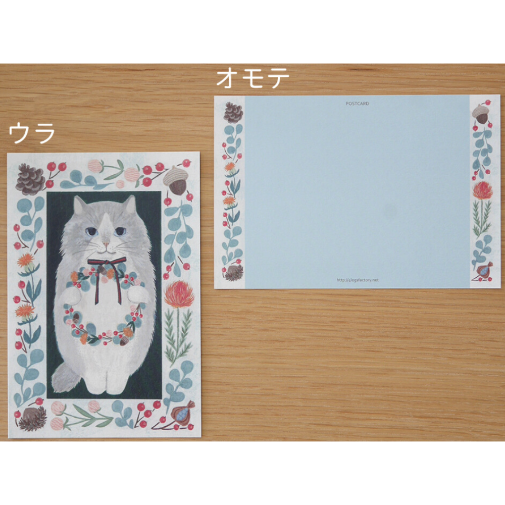 #13長毛貓（長毛猫）