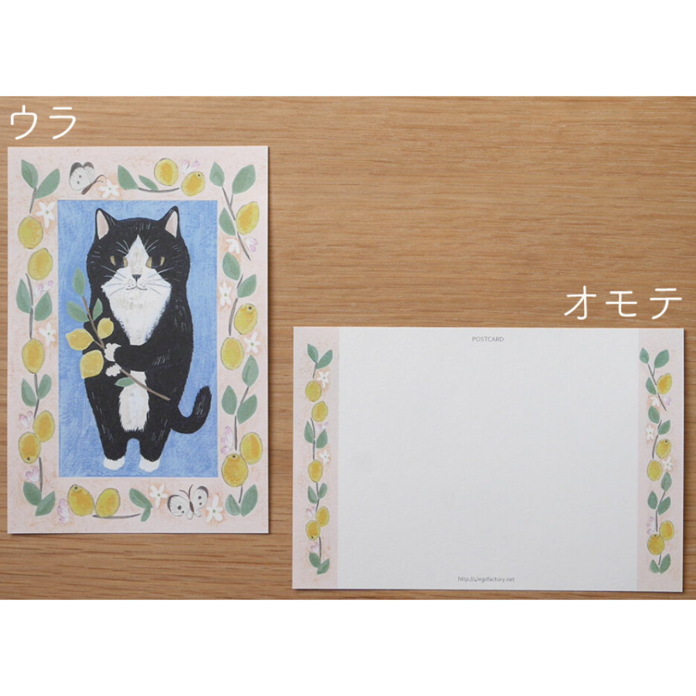 #15賓士貓（タキシード猫）