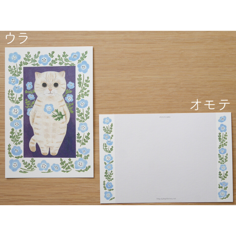 【經典26款】4legs 明信片 4 legs 貓咪 日本製【立夏手帳生活】-規格圖1