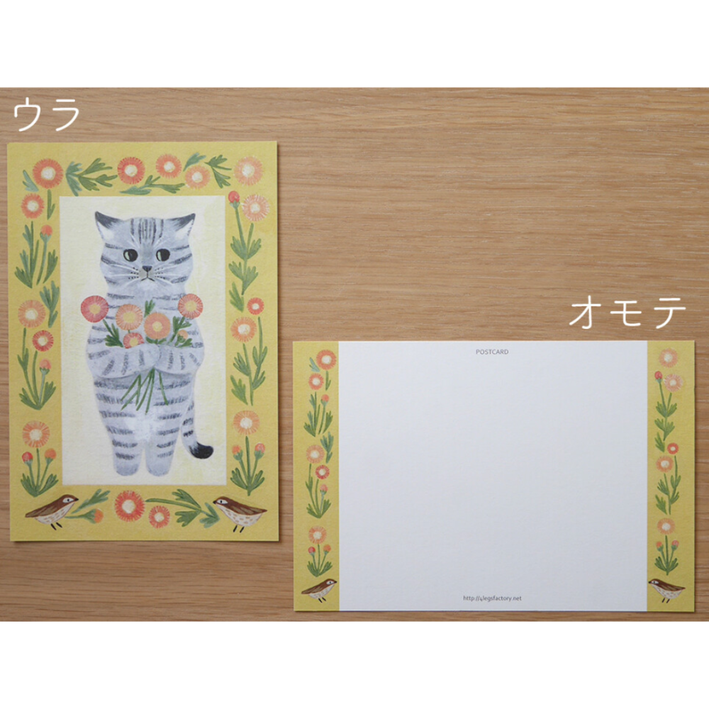【經典26款】4legs 明信片 4 legs 貓咪 日本製【立夏手帳生活】-規格圖1