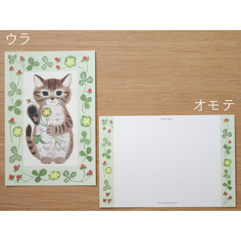 #21幼貓（子猫）