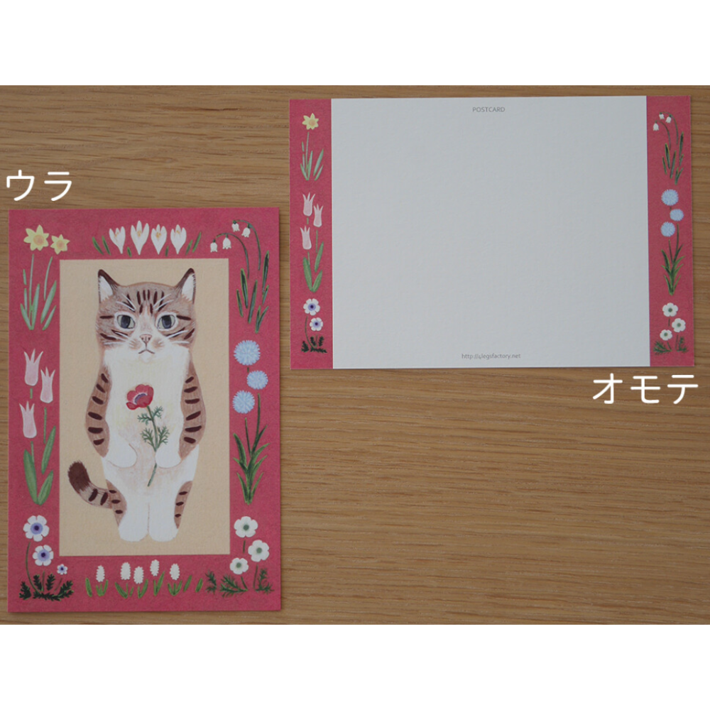 【經典26款】4legs 明信片 4 legs 貓咪 日本製【立夏手帳生活】-規格圖1
