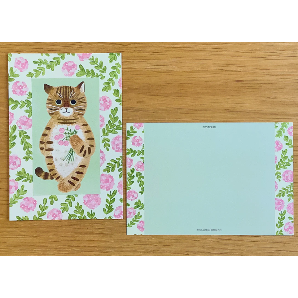 new#1帥帥雉色虎斑貓（キジトラ）