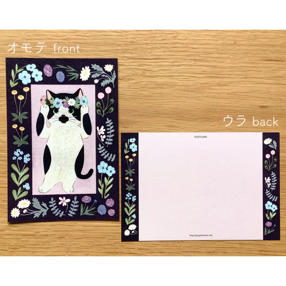 【新系列16款】4legs 明信片 4 legs 貓咪 日本製【立夏手帳生活】-規格圖10