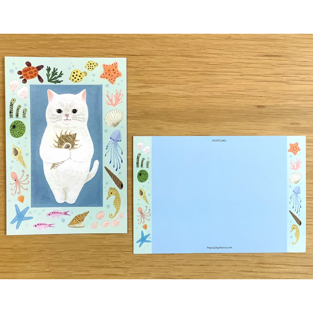 new#3海螺白貓（シロネコ）